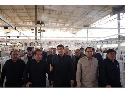 حضور وزیر ارتباطات در پایانه مرزی مهران